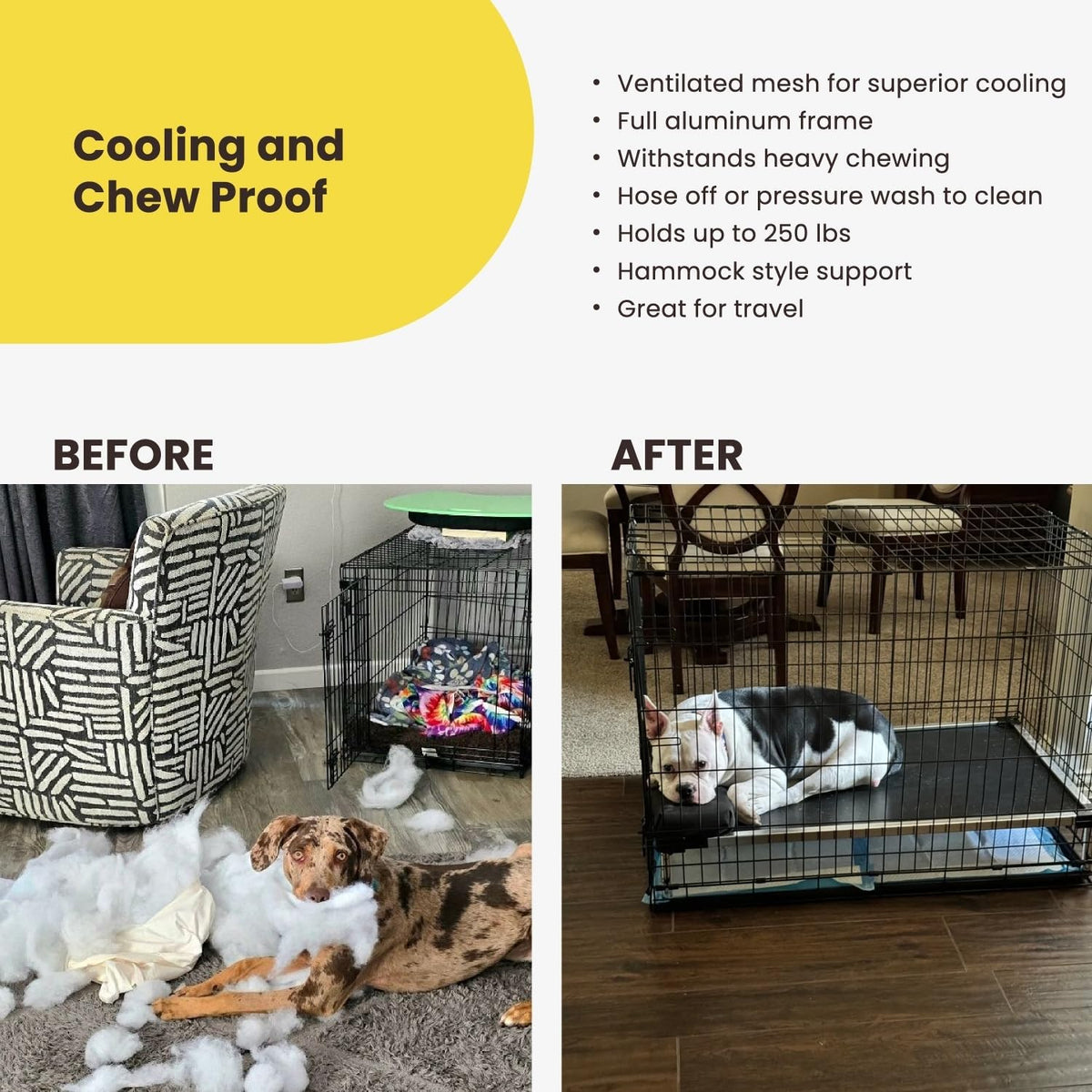 Chew Proof Elevated Cot Bed, S, Black Mesh