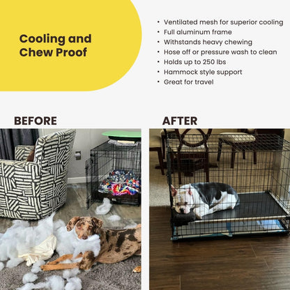 Chew Proof Elevated Cot Bed, S, Black Mesh